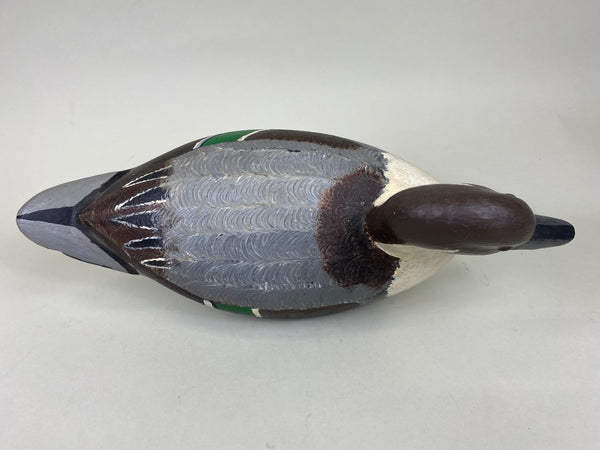 Illinois River Pintail Drake (#6314)
