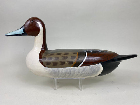 Tom Chiado Pintail Drake (#6324)