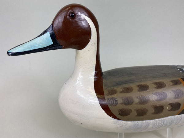 Tom Chiado Pintail Drake (#6324)