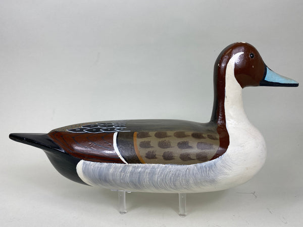 Tom Chiado Pintail Drake (#6324)