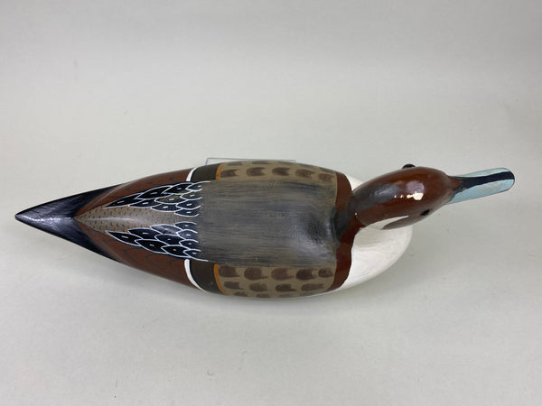 Tom Chiado Pintail Drake (#6324)