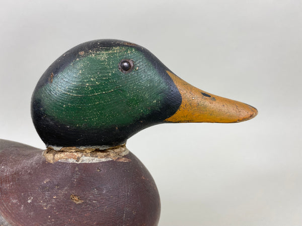 Mason Tack-Eye Mallard Drake, All Original (#6348)