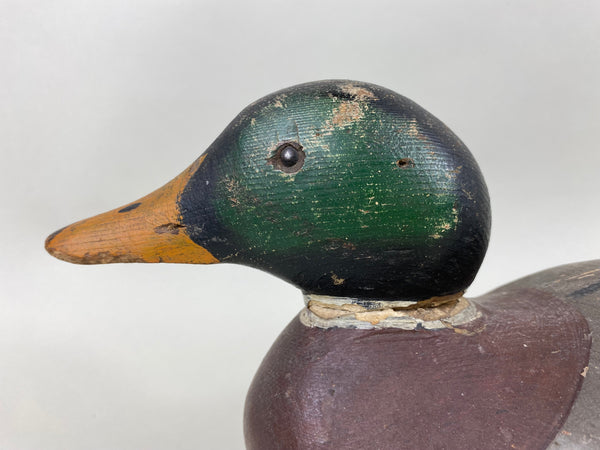 Mason Tack-Eye Mallard Drake, All Original (#6348)