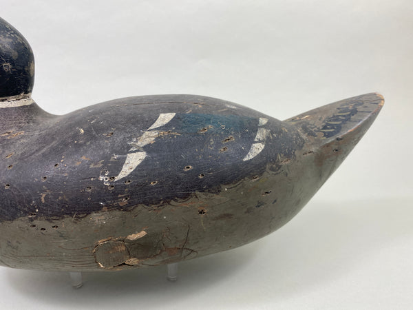 Oversized Wisconsin Mallard Drake (#9350)