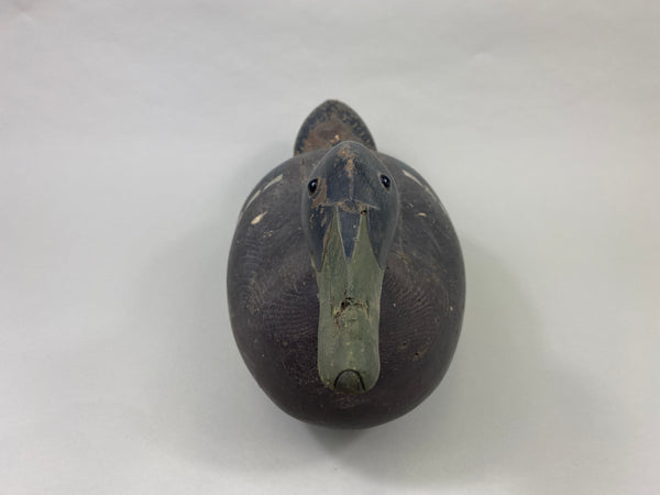 Oversized Wisconsin Mallard Drake (#9350)