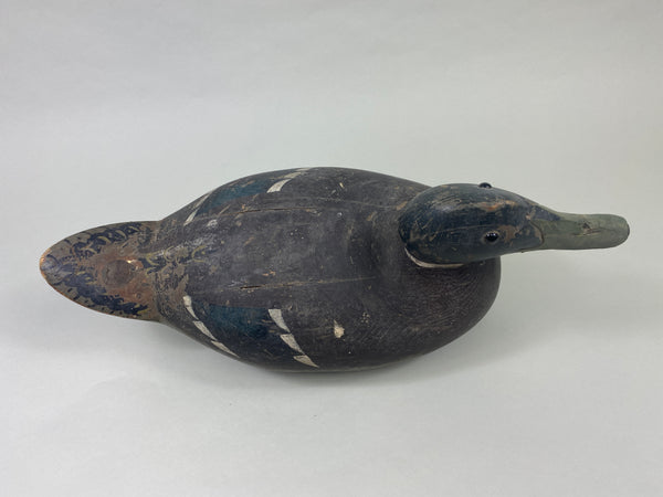 Oversized Wisconsin Mallard Drake (#9350)