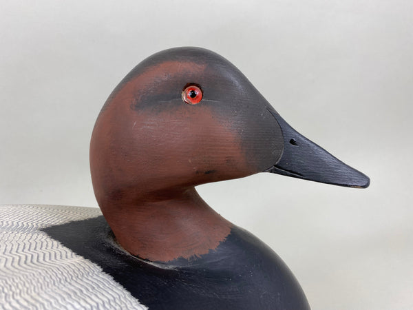 Ken Harris Canvasback Drake (#6355)