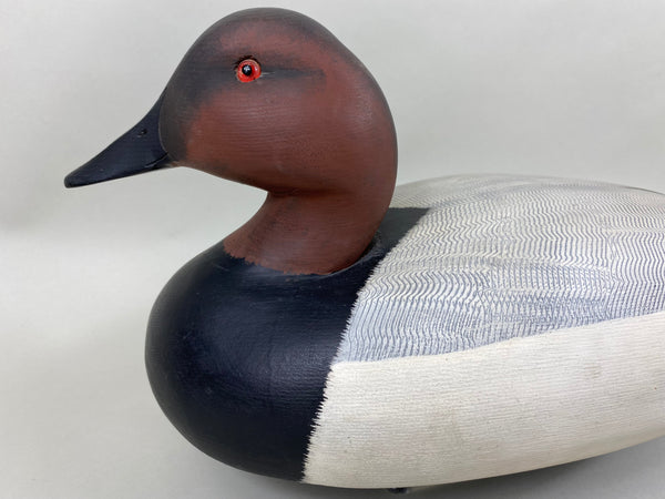 Ken Harris Canvasback Drake (#6355)