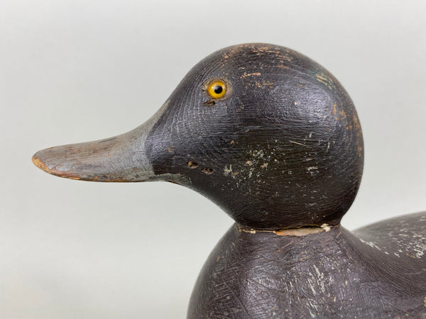 Mason Glass Eyes Redhead Hen, Original Paint, Circa 1920's (#6379)