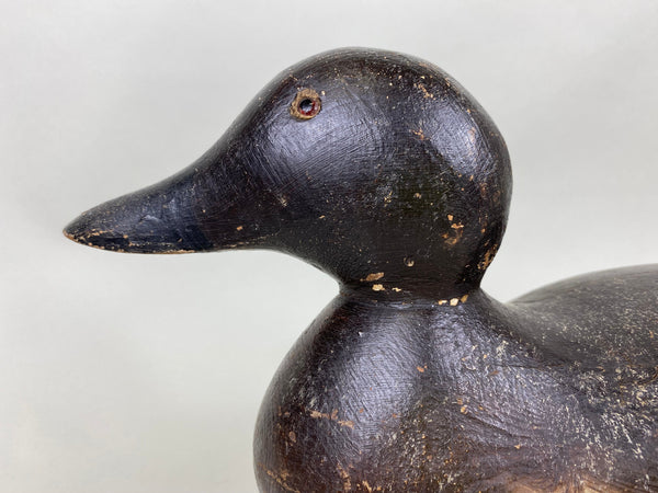 Mason Canvasback Hen, Original Paint and Neck Filler (#6398)