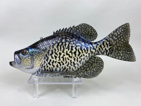 Life Like Carved Crappie Fish (#6404)