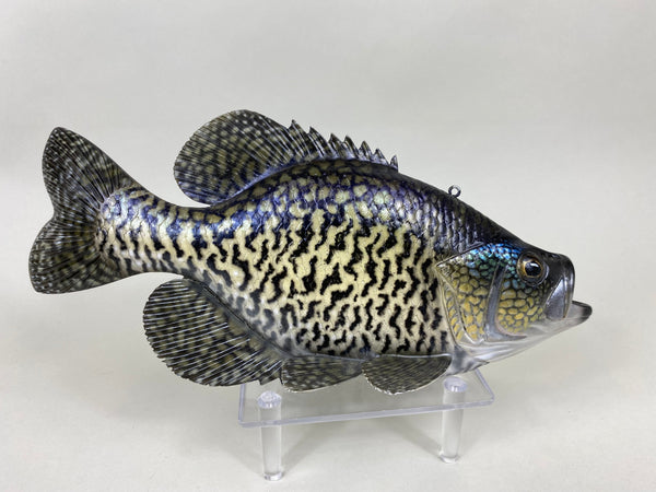 Life Like Carved Crappie Fish (#6404)
