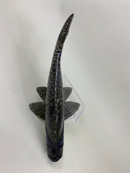 Life Like Carved Crappie Fish (#6404)