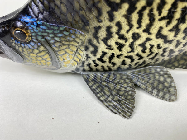 Life Like Carved Crappie Fish (#6404)