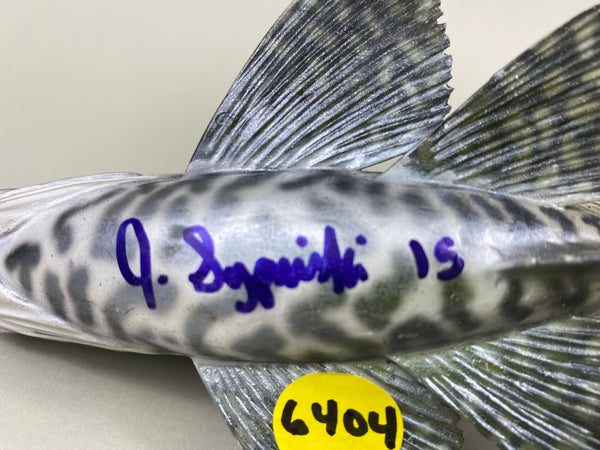 Life Like Carved Crappie Fish (#6404)