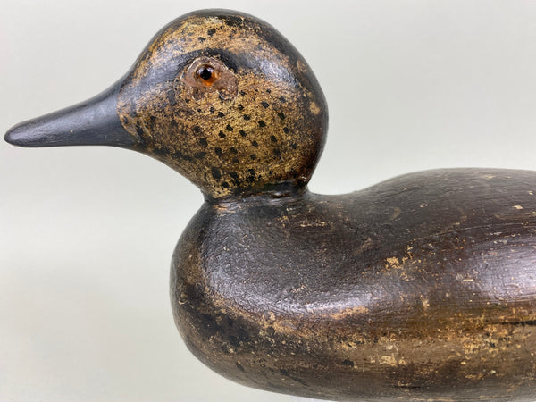 Mason Blue Wing Teal Hen, Circa 1920's (#6408)