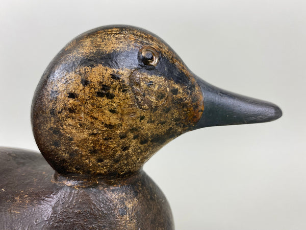 Mason Blue Wing Teal Hen, Circa 1920's (#6408)