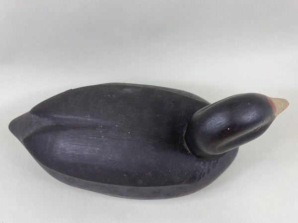 David Simandl Oversized Coot (#6414)