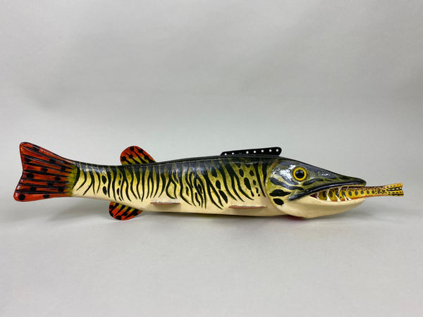 Al Nelson Muskie Eating a Perch Fish Spearing Decoy (#6417)