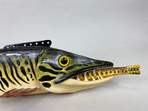 Al Nelson Muskie Eating a Perch Fish Spearing Decoy (#6417)