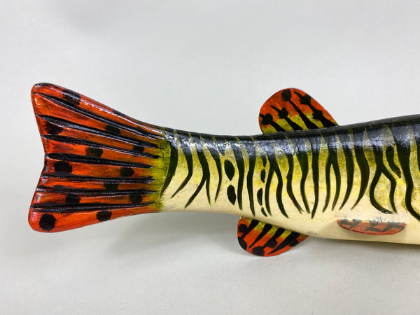 Al Nelson Muskie Eating a Perch Fish Spearing Decoy (#6417)