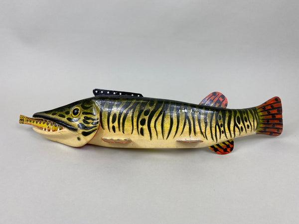 Al Nelson Muskie Eating a Perch Fish Spearing Decoy (#6417)