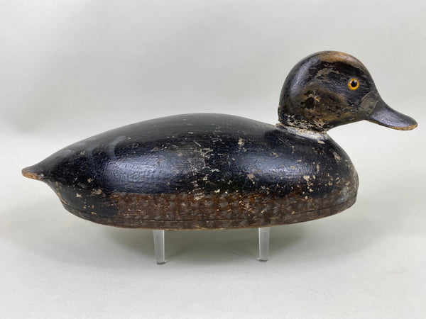 Canada Blue Bill Hen, Circa 1920's (#6439)