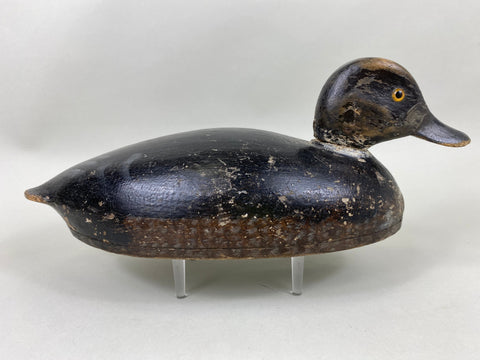 Canada Blue Bill Hen, Circa 1920's (#6439)