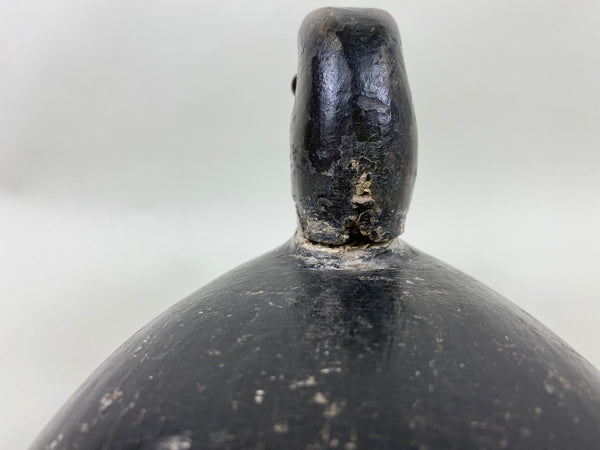 Canada Blue Bill Hen, Circa 1920's (#6439)