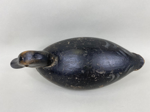 Canada Blue Bill Hen, Circa 1920's (#6439)