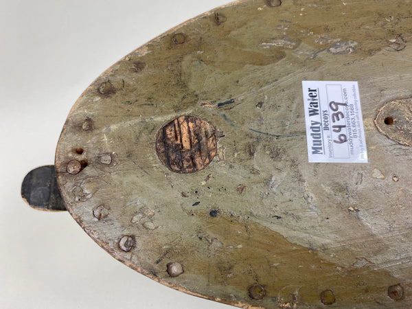 Canada Blue Bill Hen, Circa 1920's (#6439)