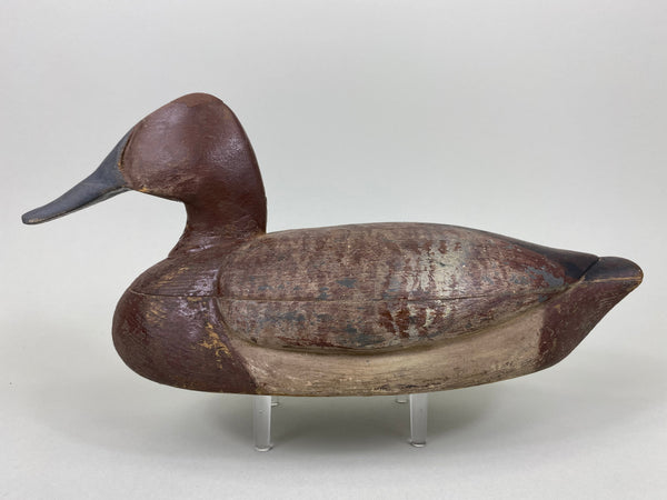 Unknown Canvasback Hen, Circa 1940's (#6447)