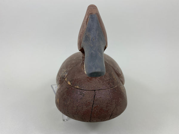 Unknown Canvasback Hen, Circa 1940's (#6447)