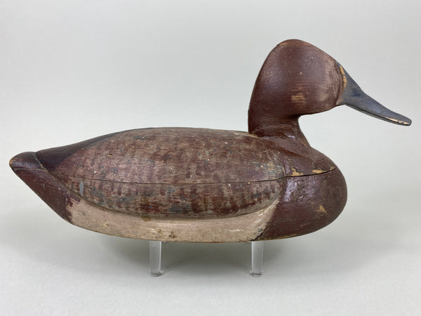 Unknown Canvasback Hen, Circa 1940's (#6447)