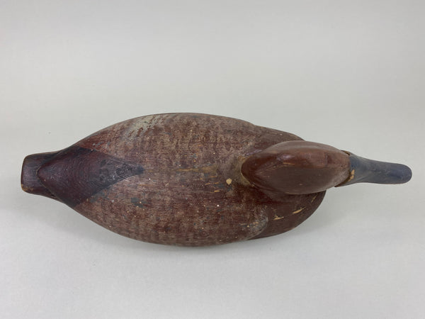 Unknown Canvasback Hen, Circa 1940's (#6447)