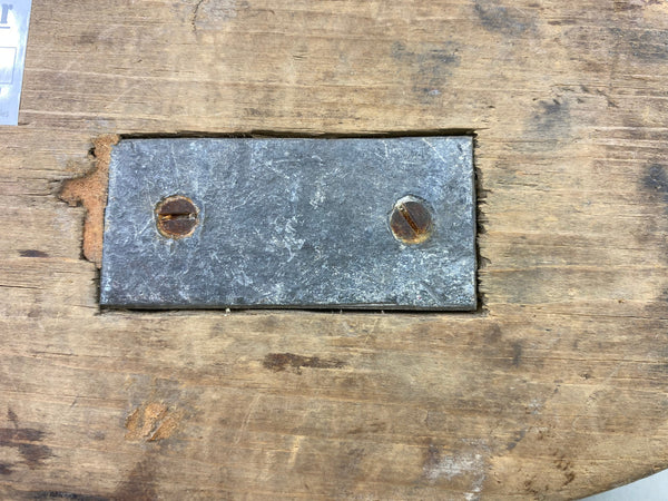 Unknown Canvasback Hen, Circa 1940's (#6447)