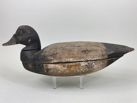 Henry Grant Bluebill Drake (#6451)