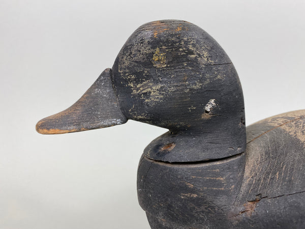 Henry Grant Bluebill Drake (#6451)