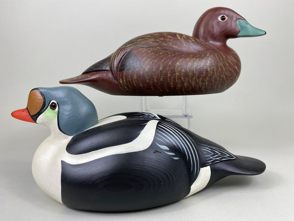 Wildfowler Pair of King Eiders, Paint by K. Basta for Sportsman's Club International (#6465)