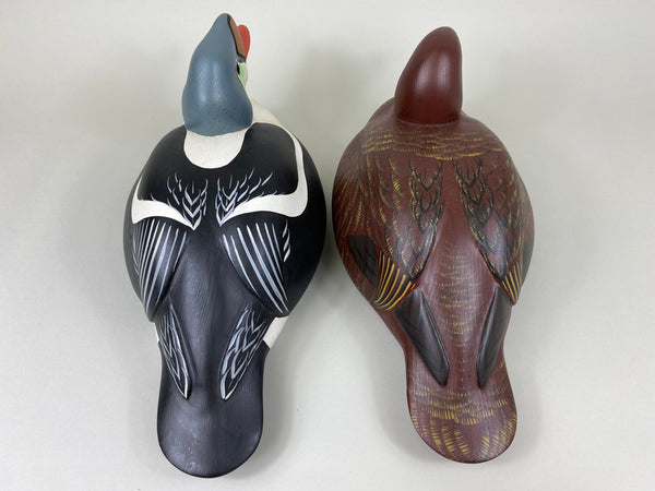 Wildfowler Pair of King Eiders, Paint by K. Basta for Sportsman's Club International (#6465)
