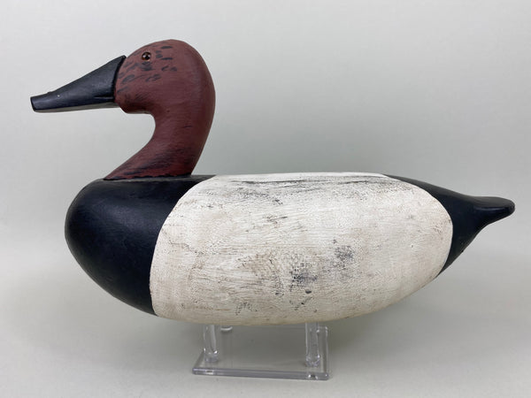 Ralph Pyle Canvasback Drake (#6487)