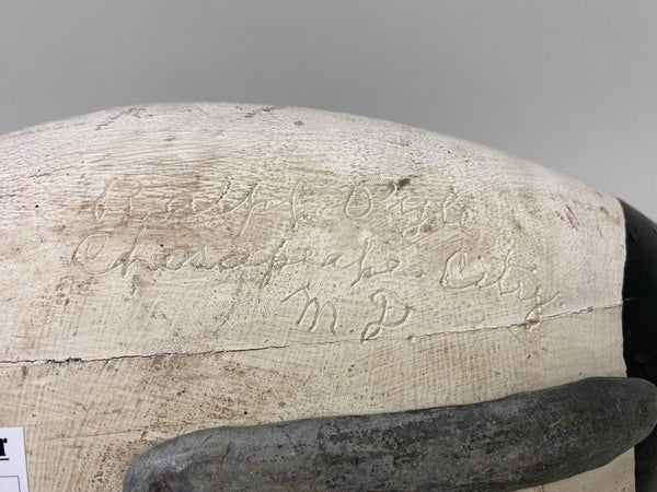 Ralph Pyle Canvasback Drake (#6487)