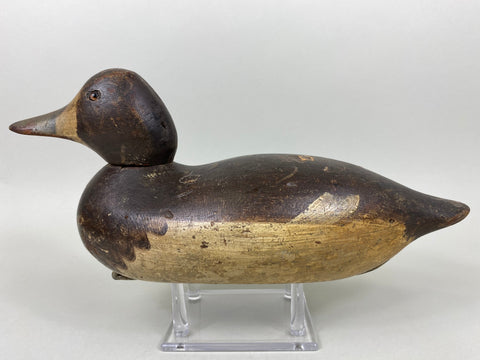 Mason Bluebill Hen, Mostly Original Paint (#6499)