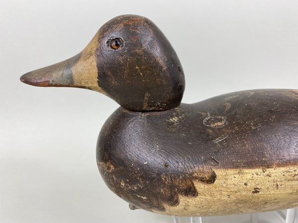 Mason Bluebill Hen, Mostly Original Paint (#6499)