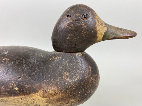 Mason Bluebill Hen, Mostly Original Paint (#6499)