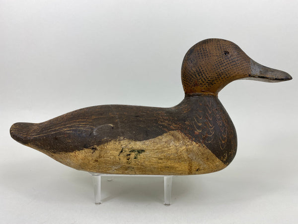Woodward's Tule Lake Widgeon Hen, Stamped (#6504)