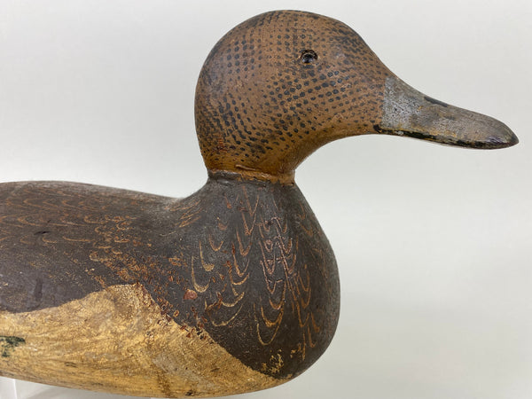 Woodward's Tule Lake Widgeon Hen, Stamped (#6504)