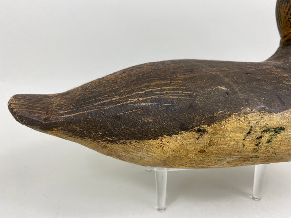 Woodward's Tule Lake Widgeon Hen, Stamped (#6504)