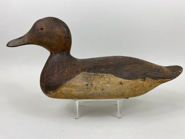 Woodward's Tule Lake Widgeon Hen, Stamped (#6504)