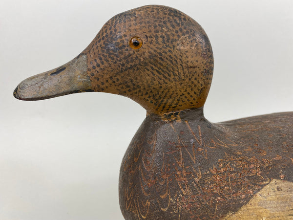 Woodward's Tule Lake Widgeon Hen, Stamped (#6504)